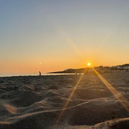 I 3 Oliveti * Salignano (Apulia)