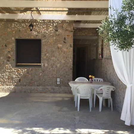 I 3 Oliveti