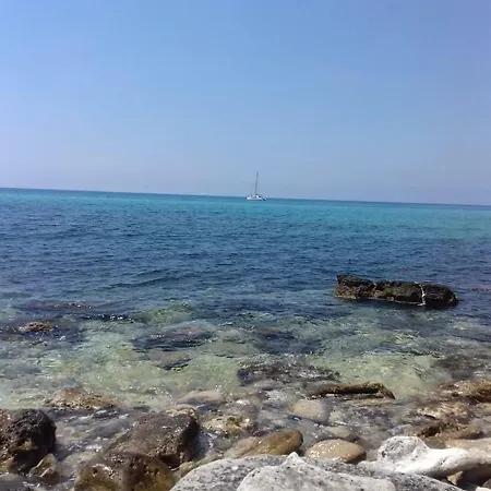 I 3 Oliveti Salignano (Apulia)