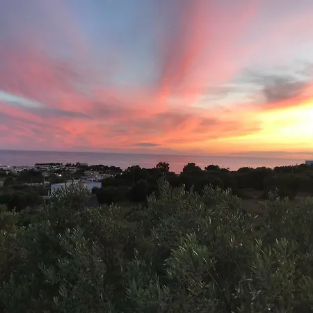 I 3 Oliveti